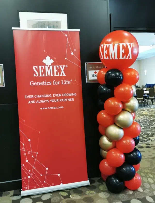 A festive display featuring red, black, and gold balloons with a sign celebrating SEMEX's 50th anniversary, 1974-2024.